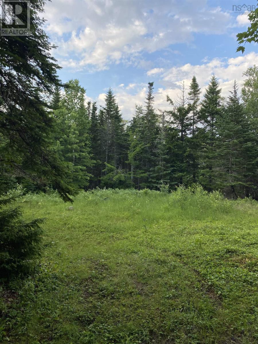 Lot 10 Pigott Lake Road, Lakelands, Nova Scotia  B0N 1Z0 - Photo 6 - 202416140