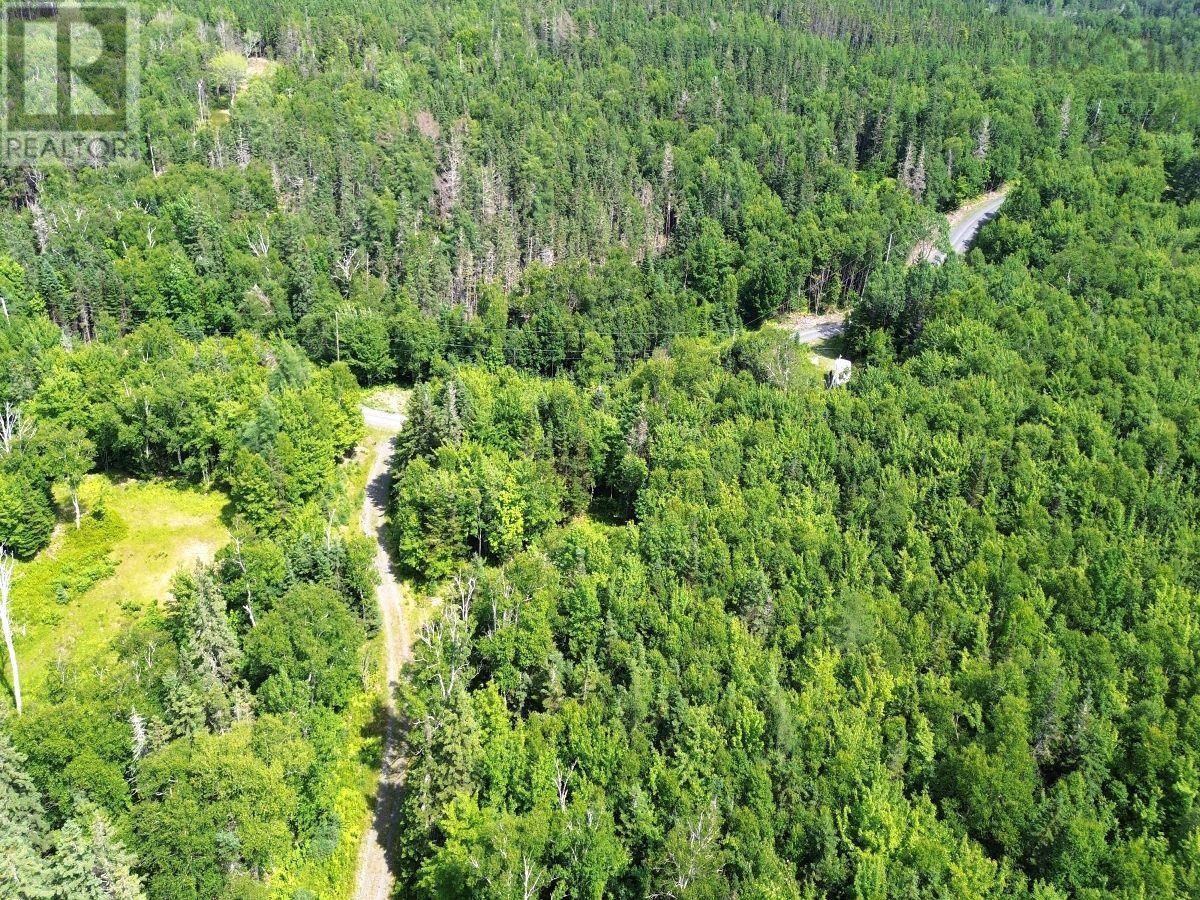 99-16 Nature Dream Boulevard, Roberta, Nova Scotia  B0E 3B0 - Photo 19 - 202416256