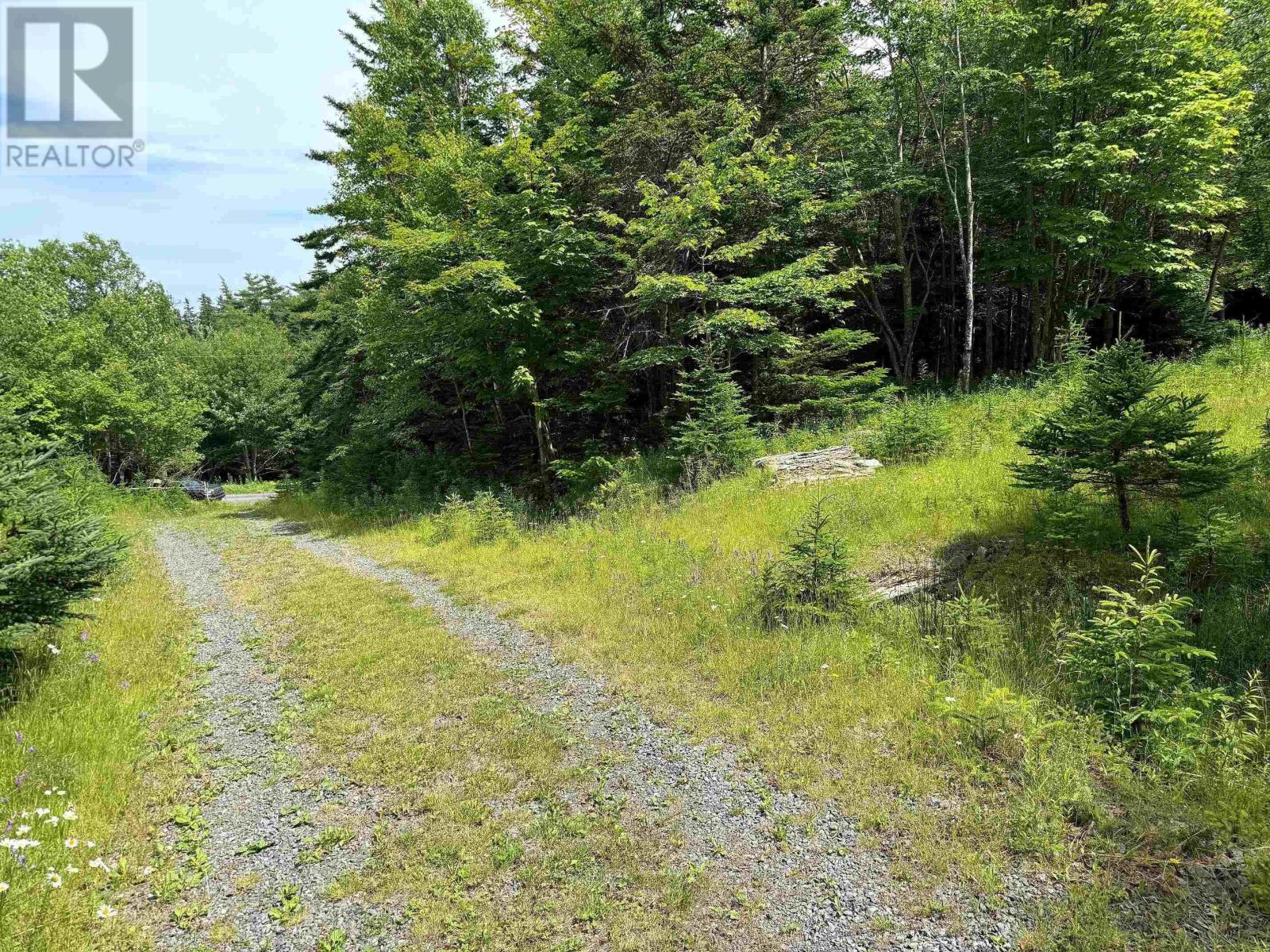 99-16 Nature Dream Boulevard, Roberta, Nova Scotia  B0E 3B0 - Photo 26 - 202416256