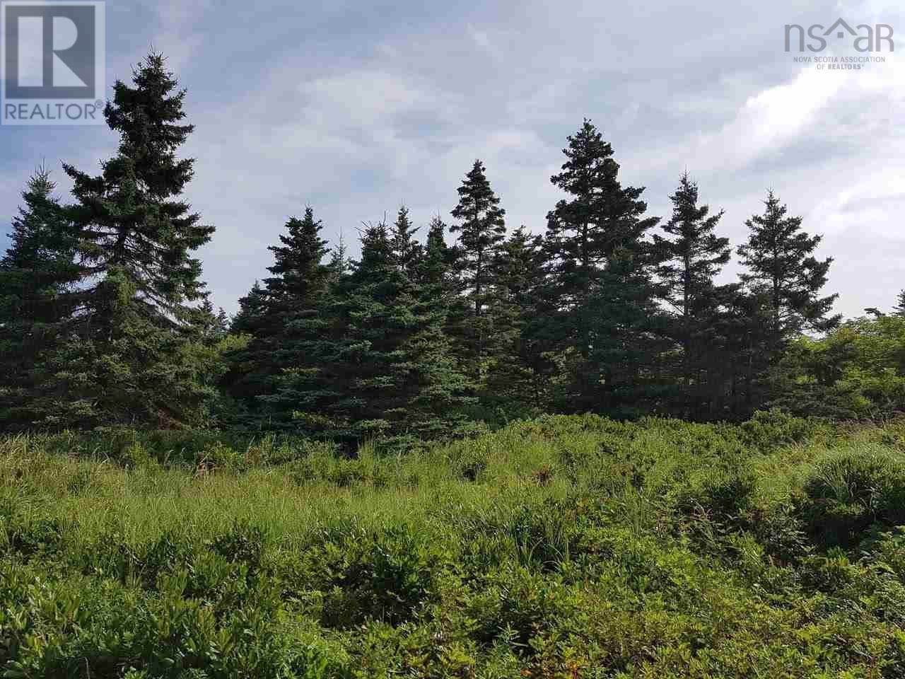 Lot 5 Stewart's Point Road, East Port L'hebert, Nova Scotia  B0T 1T0 - Photo 10 - 202416287