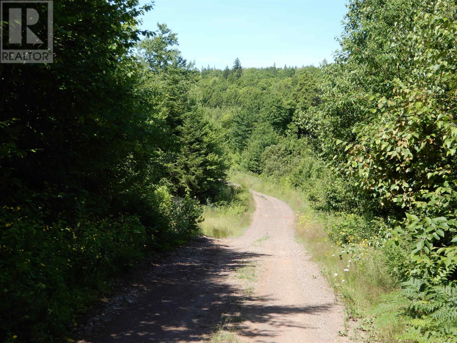 Scotsburn Road, West Branch, Nova Scotia  B0K 1R0 - Photo 10 - 202416290