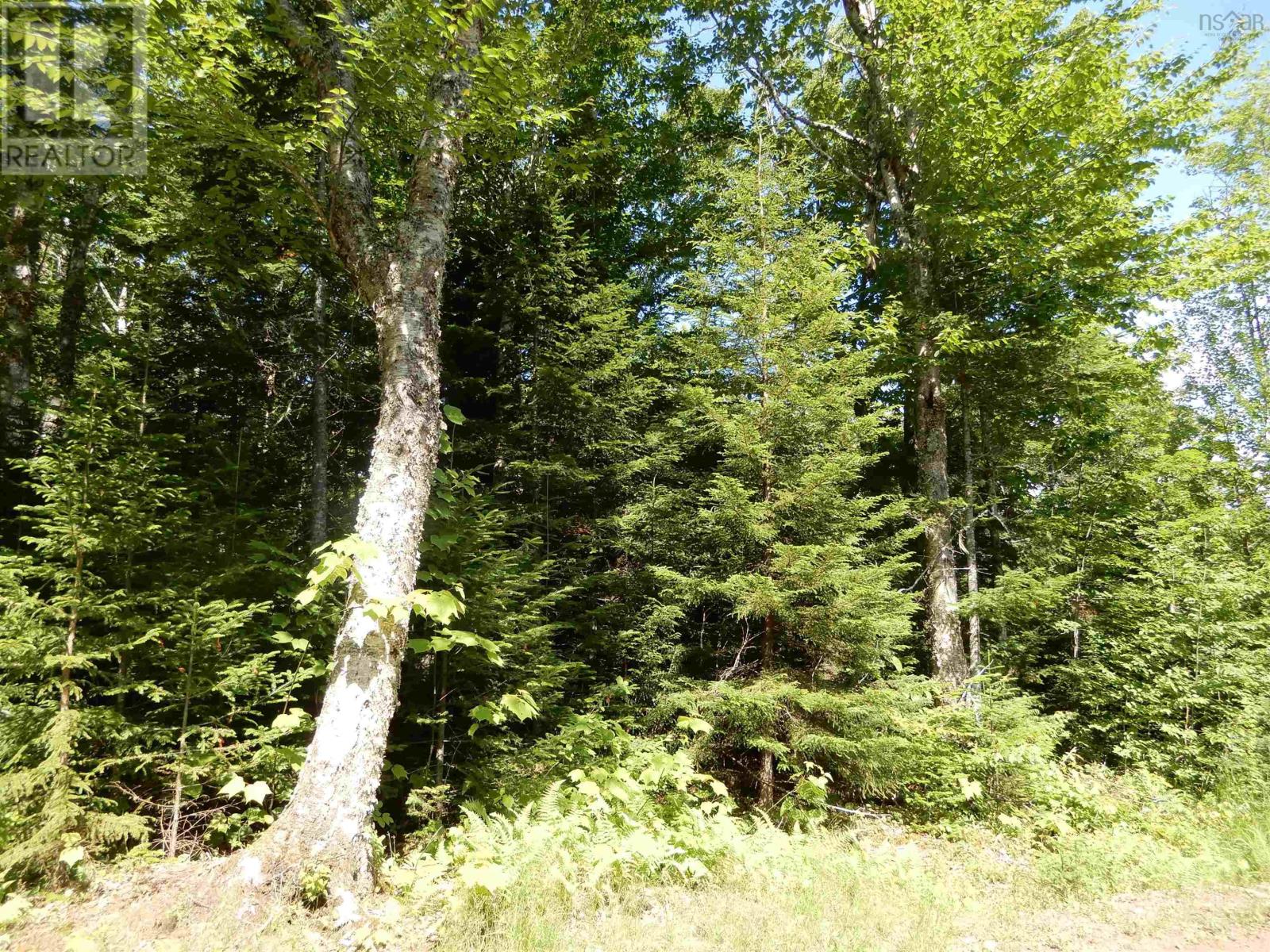 Scotsburn Road, West Branch, Nova Scotia  B0K 1R0 - Photo 14 - 202416290