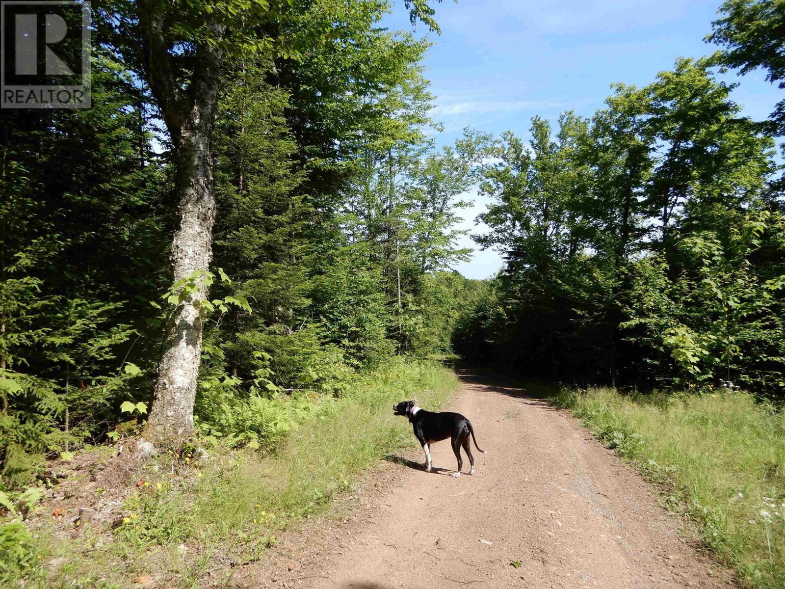 Scotsburn Road, West Branch, Nova Scotia  B0K 1R0 - Photo 15 - 202416290