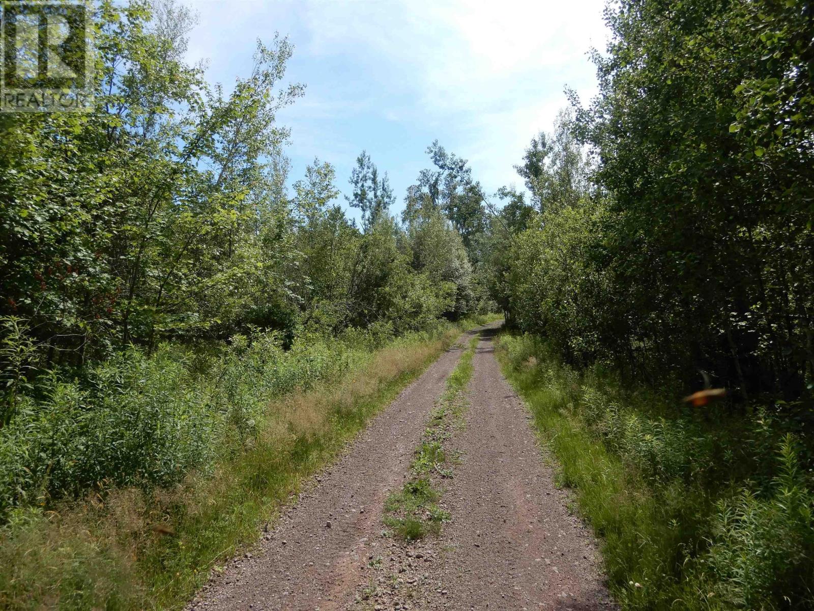 Scotsburn Road, West Branch, Nova Scotia  B0K 1R0 - Photo 2 - 202416290