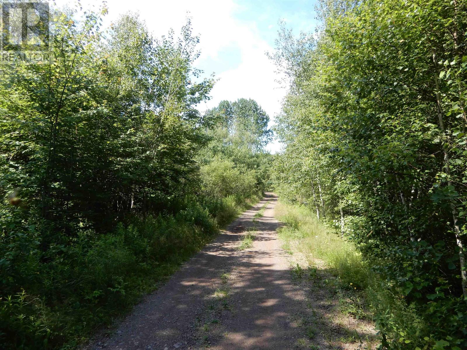 Scotsburn Road, West Branch, Nova Scotia  B0K 1R0 - Photo 6 - 202416290