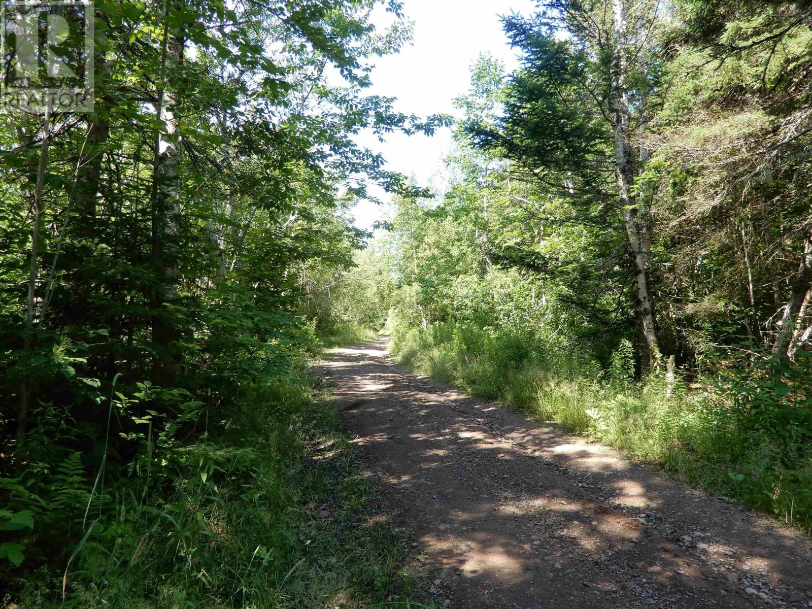 Scotsburn Road, West Branch, Nova Scotia  B0K 1R0 - Photo 7 - 202416290