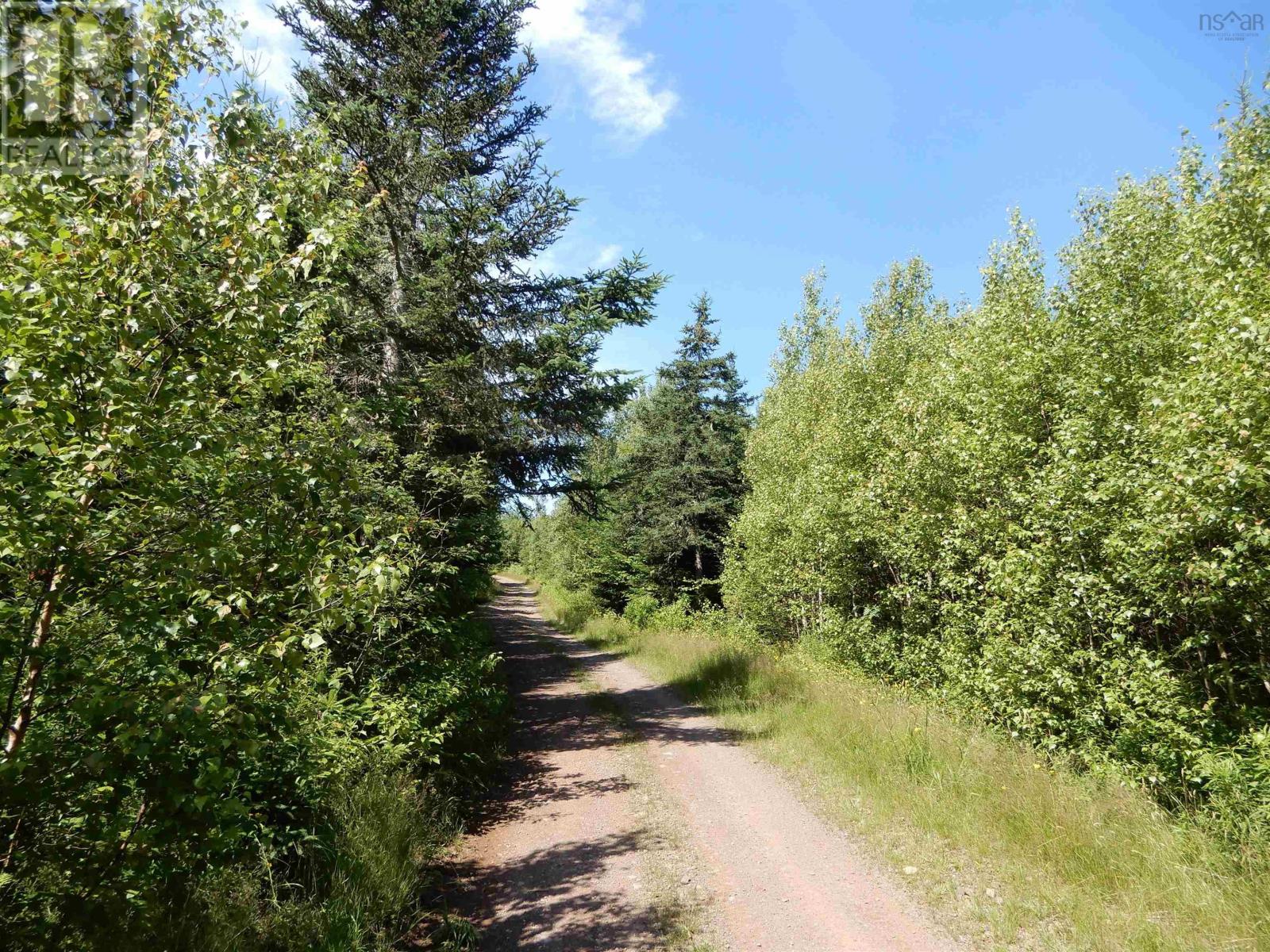 Scotsburn Road, West Branch, Nova Scotia  B0K 1R0 - Photo 8 - 202416290