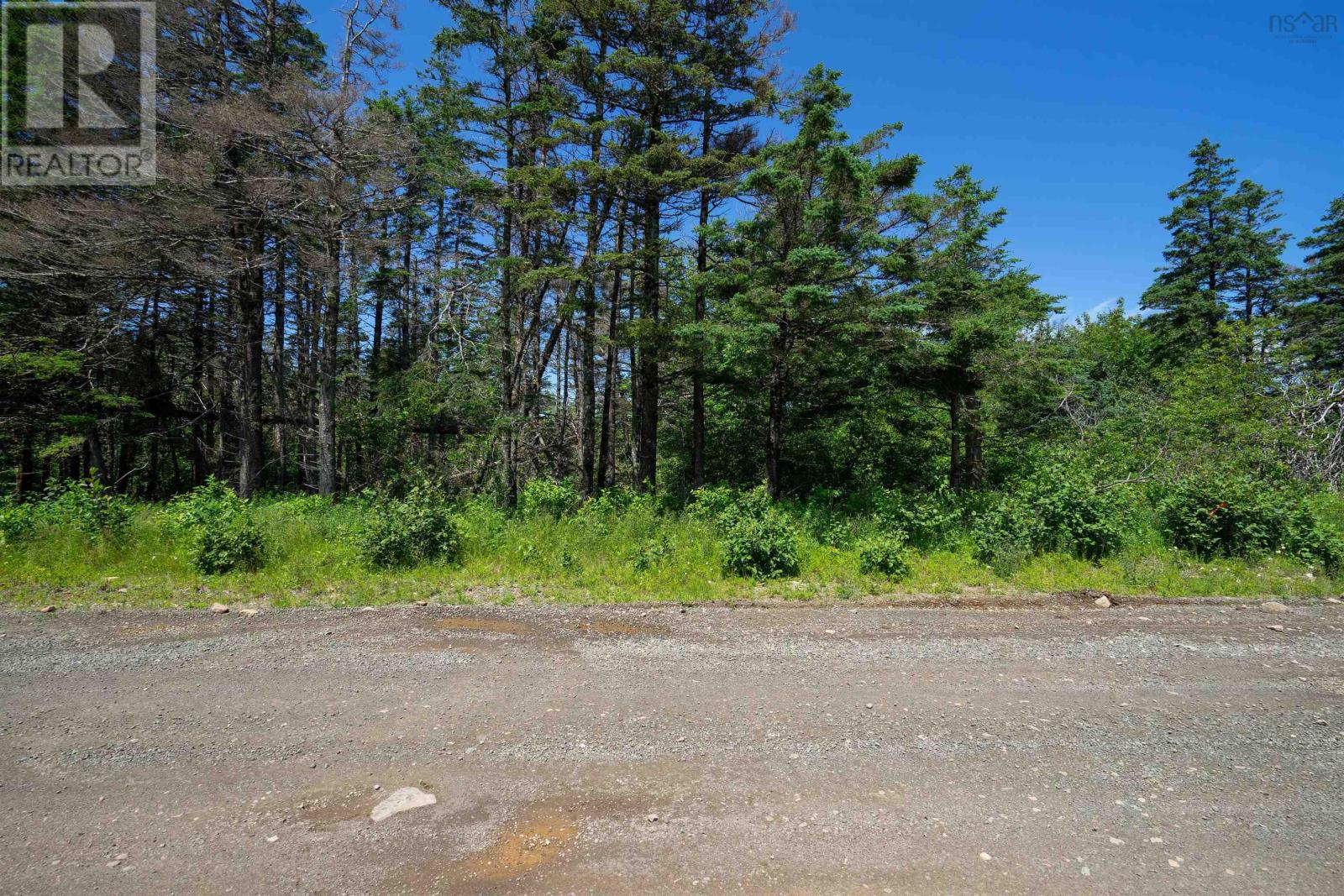 Lot 21 Culloden Road, Roxville, Nova Scotia  B0V 1A0 - Photo 7 - 202416293