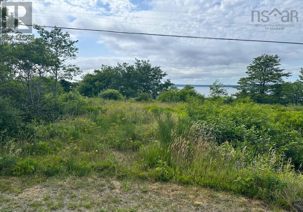 Lot 39 Sandy Point Road, Sandy Point, Nova Scotia  B0T 1W0 - Photo 4 - 202416340