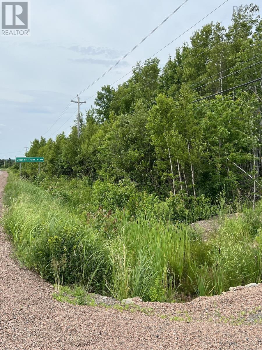 Highway 6, Bayhead, Nova Scotia  B0K 1V0 - Photo 10 - 202416355