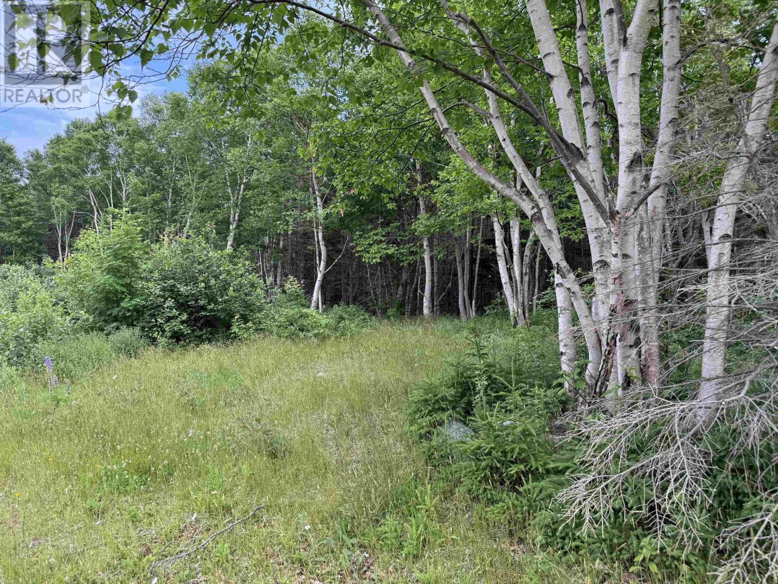 41251 Cabot Trail, Wreck Cove, Nova Scotia  B0C 1H0 - Photo 12 - 202416401