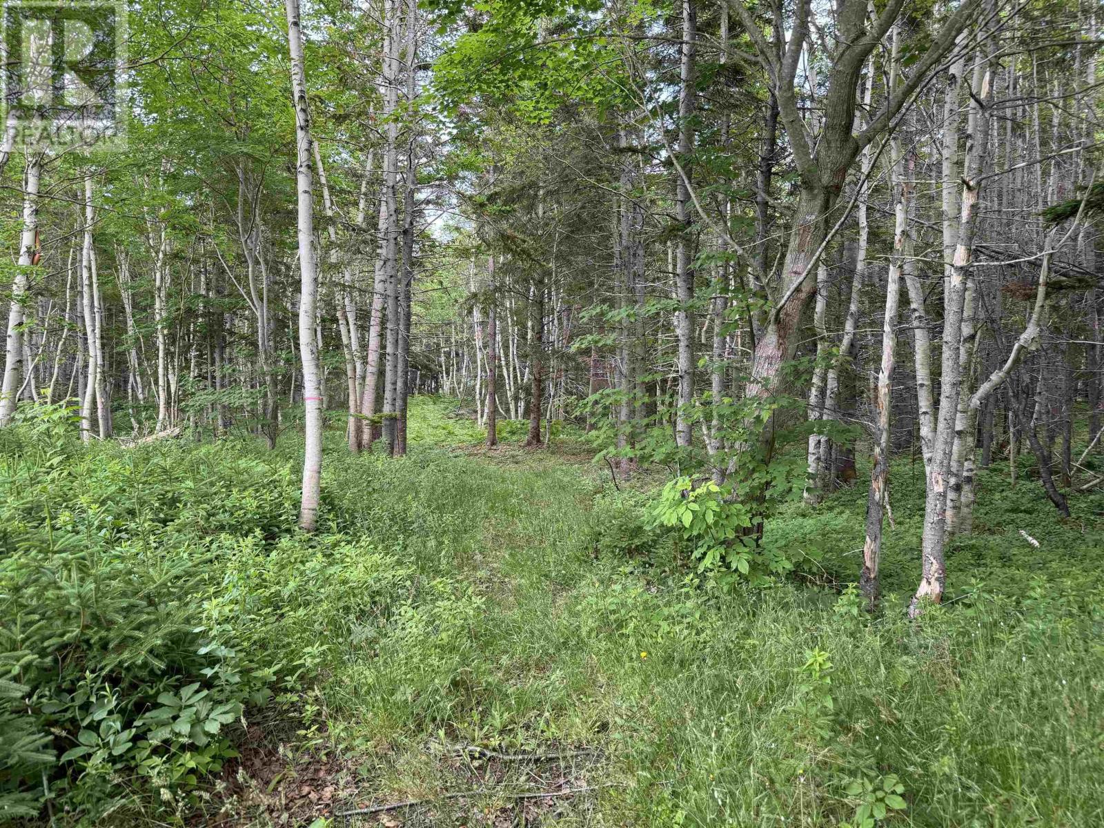 41251 Cabot Trail, Wreck Cove, Nova Scotia  B0C 1H0 - Photo 13 - 202416401