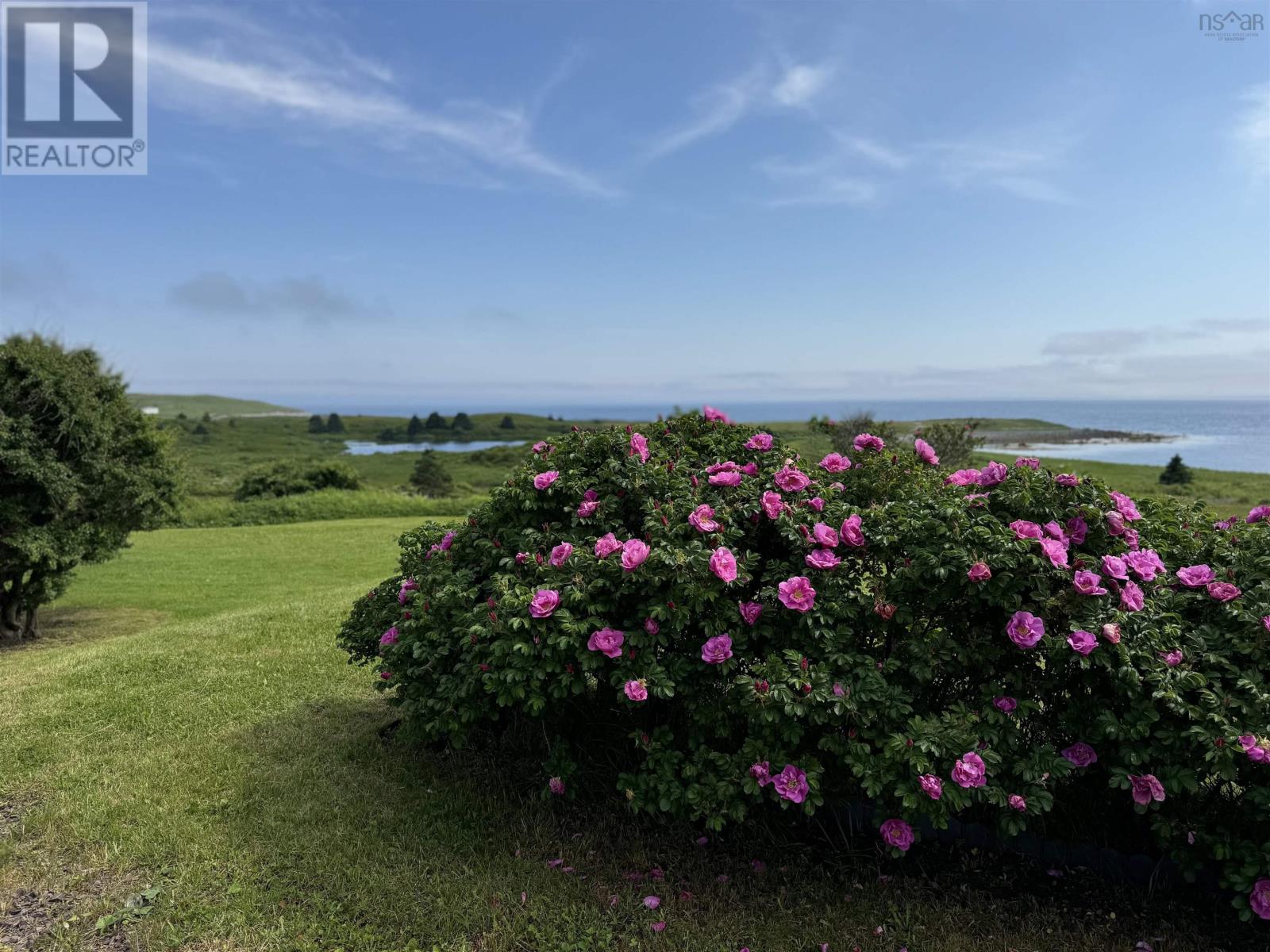 431 Southside Petit De Grat Road, Alderney Point, Nova Scotia  B0E 2L0 - Photo 5 - 202416507