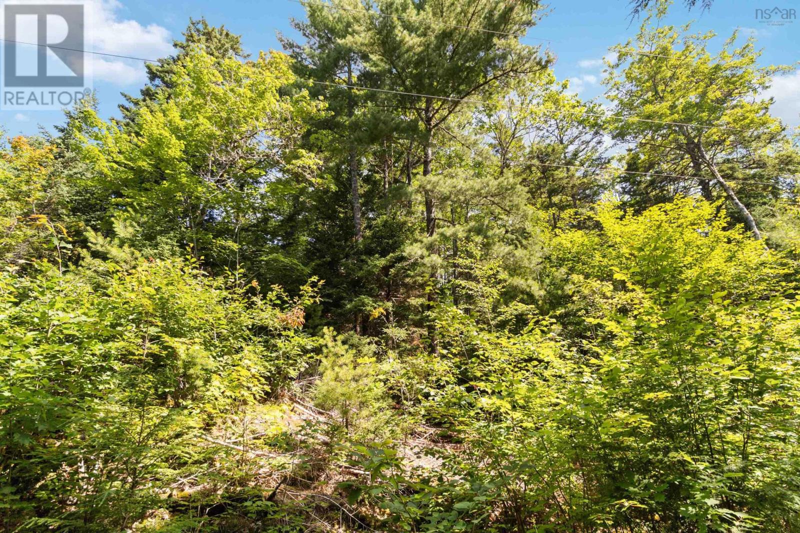 Lot 24 Domino Drive, Westfield, Nova Scotia  B0T 1B0 - Photo 25 - 202416563