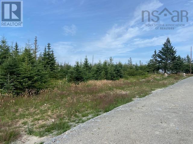 Lot West Sable Road, Little Harbour, Nova Scotia  B0T 1V0 - Photo 8 - 202416579