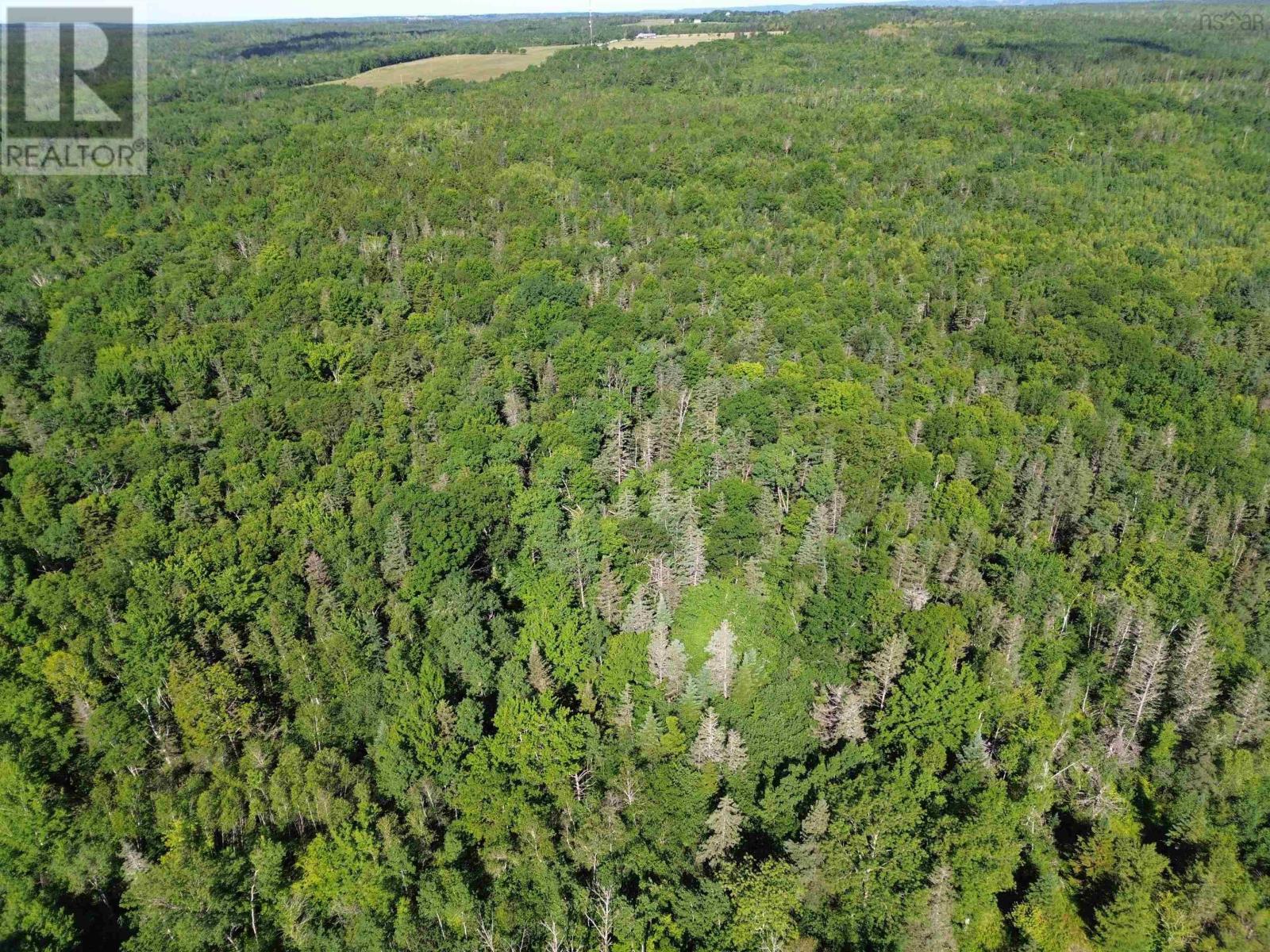 Lot 7 Landsdowne Road, Bear River, Nova Scotia  B0S 1B0 - Photo 14 - 202416658