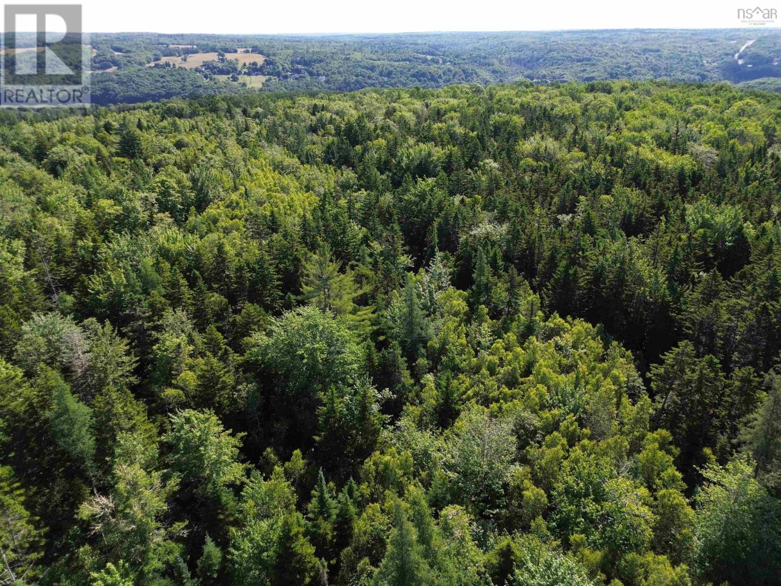 Lot 7 Landsdowne Road, Bear River, Nova Scotia  B0S 1B0 - Photo 21 - 202416658