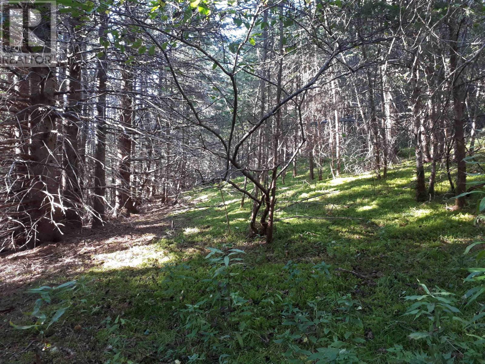 Lot 15 Walkerville Rd.,, Walkerville, Nova Scotia  B0E 1J0 - Photo 6 - 202416693