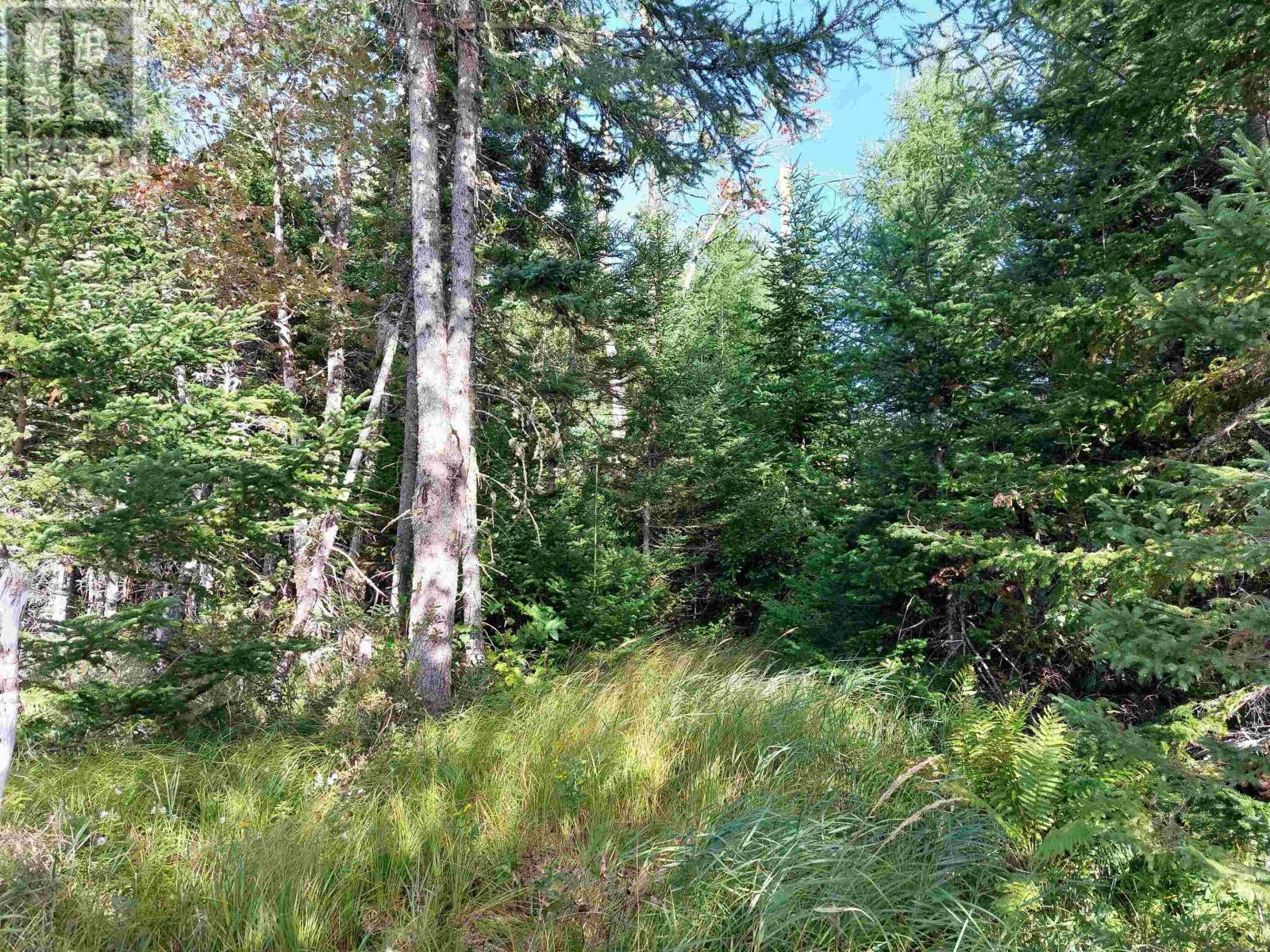 Lot 16 Walkerville Rd., Walkerville, Nova Scotia  B0E 1J0 - Photo 10 - 202416694