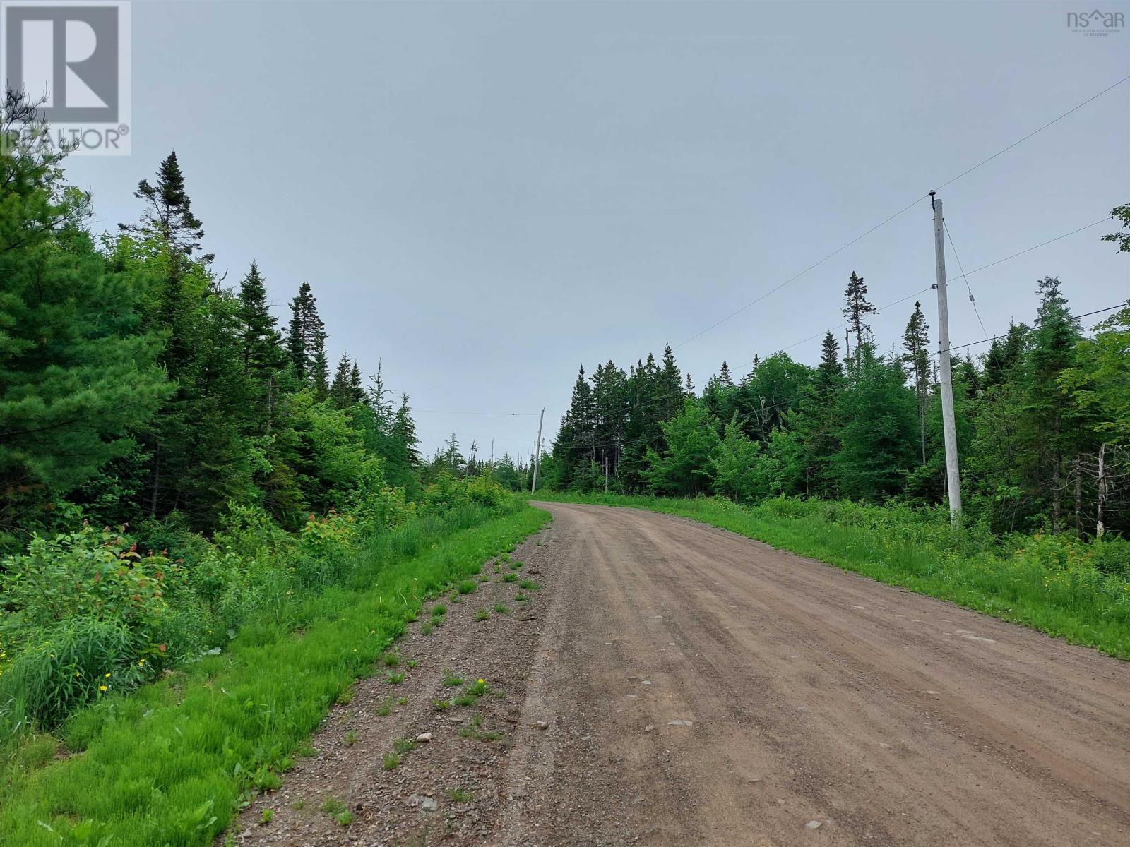 Lot 16 Walkerville Rd., Walkerville, Nova Scotia  B0E 1J0 - Photo 6 - 202416694