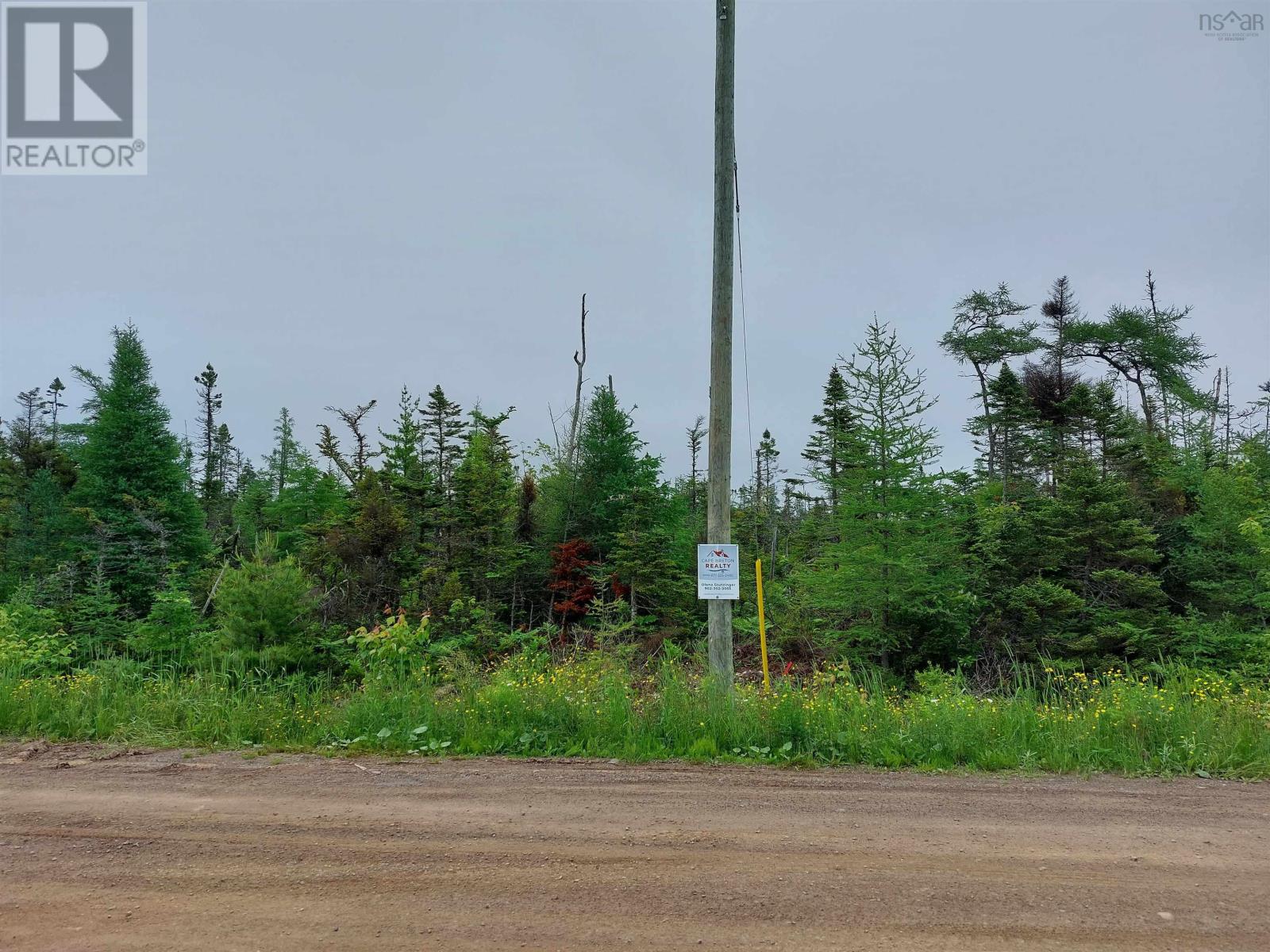 Lot 16 Walkerville Rd., Walkerville, Nova Scotia  B0E 1J0 - Photo 9 - 202416694