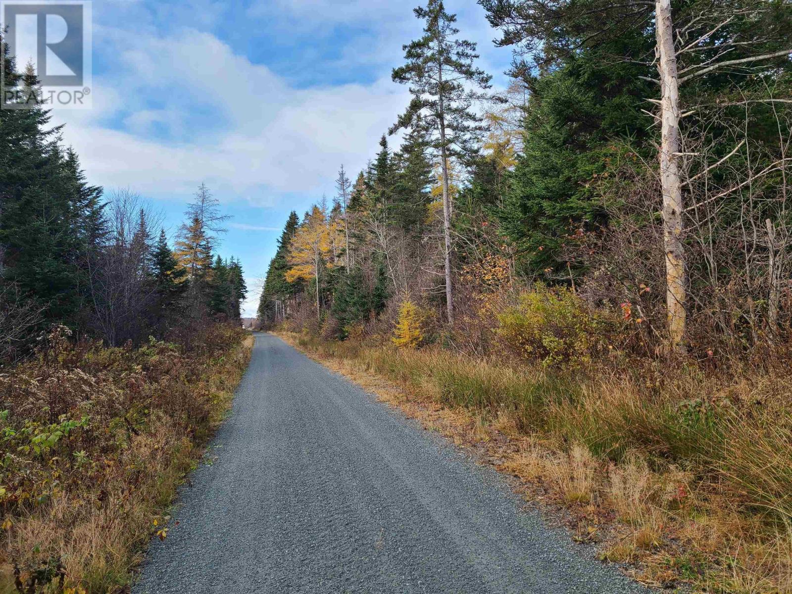 No 4 Highway, False Bay, Nova Scotia  B0E 2X0 - Photo 24 - 202416697