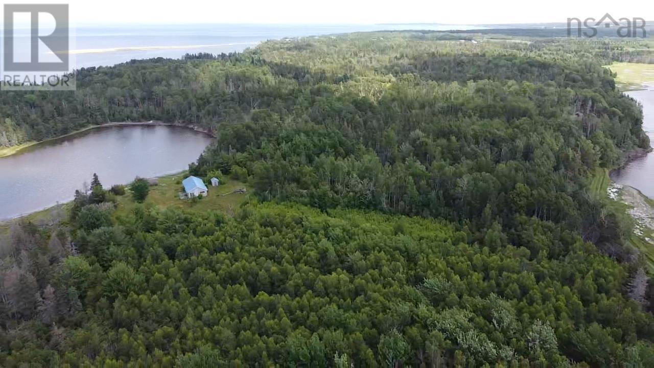 354 Horton Point Road, North Shore, Nova Scotia  B0K 1E0 - Photo 7 - 202416751