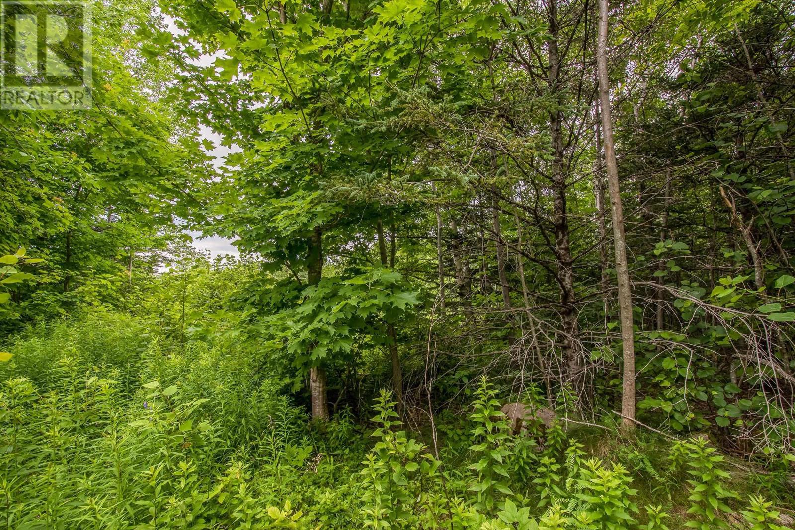 Lot Bishop Mountain Road, East Margaretsville, Nova Scotia  B0P 1R0 - Photo 10 - 202416745