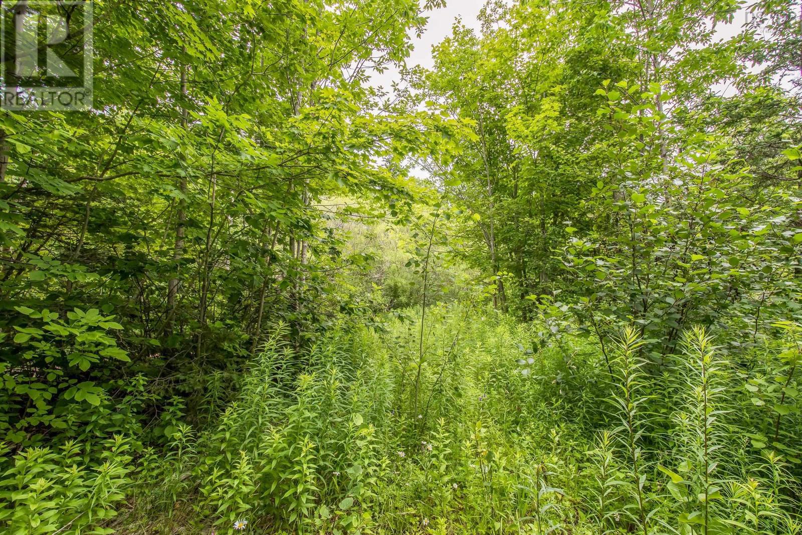 Lot Bishop Mountain Road, East Margaretsville, Nova Scotia  B0P 1R0 - Photo 11 - 202416745