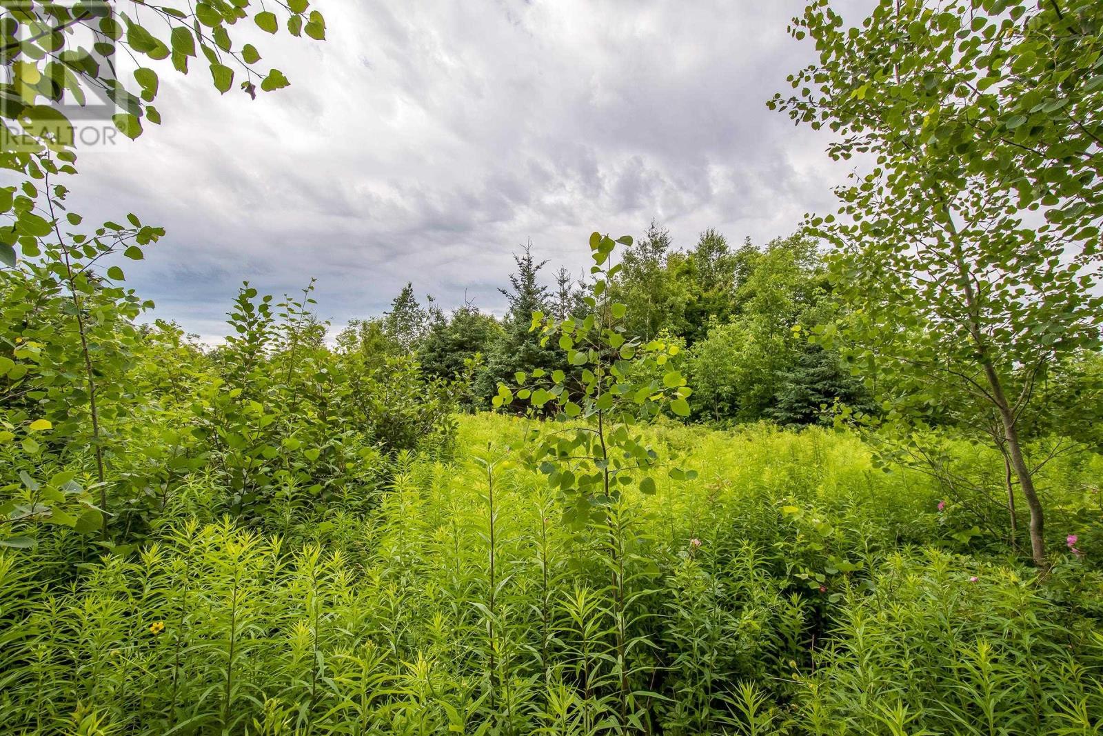 Lot Bishop Mountain Road, East Margaretsville, Nova Scotia  B0P 1R0 - Photo 12 - 202416745