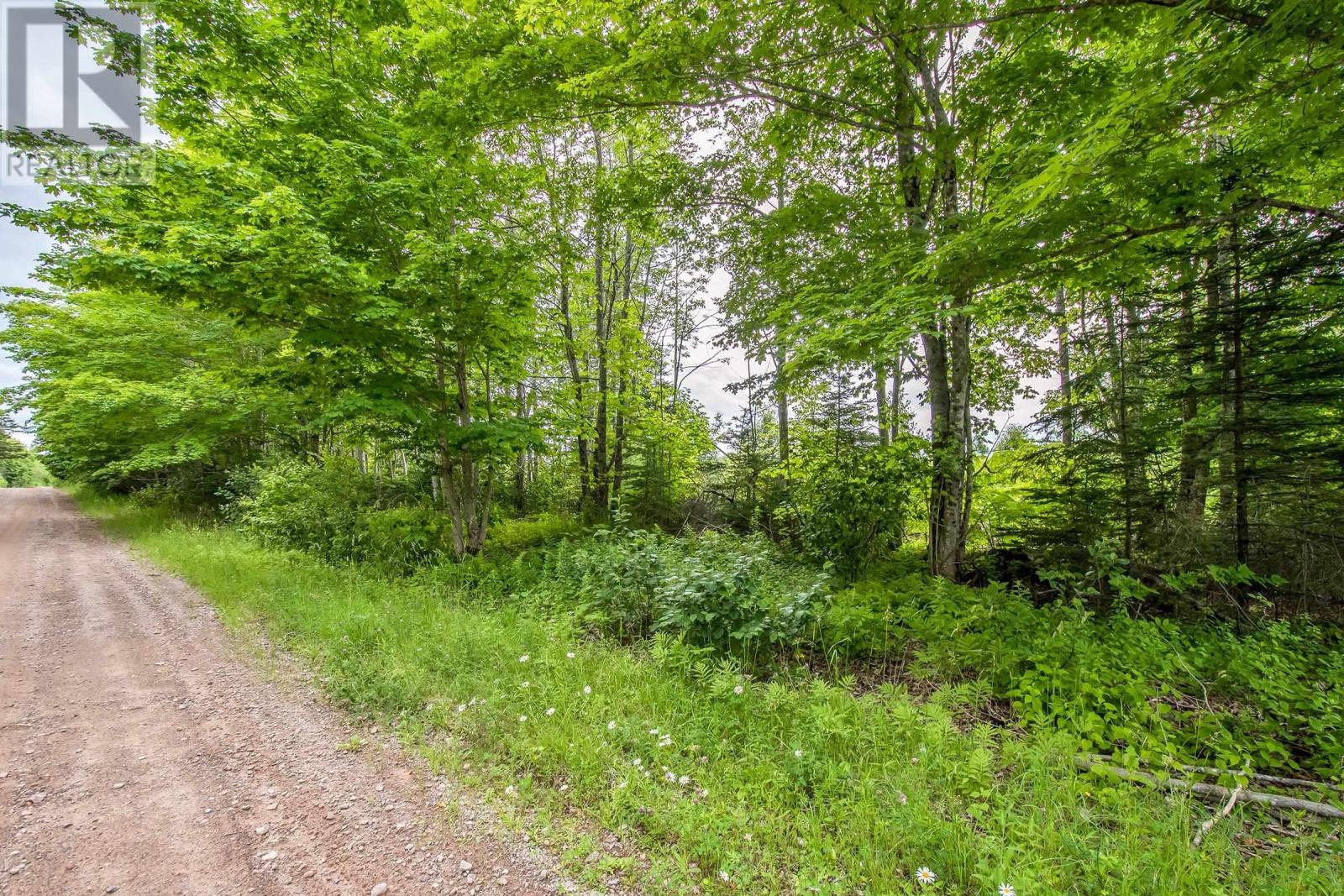 Lot Bishop Mountain Road, East Margaretsville, Nova Scotia  B0P 1R0 - Photo 6 - 202416745