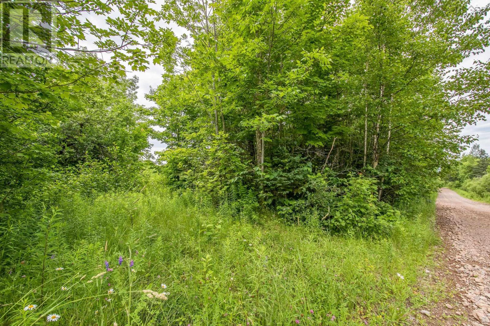 Lot Bishop Mountain Road, East Margaretsville, Nova Scotia  B0P 1R0 - Photo 7 - 202416745