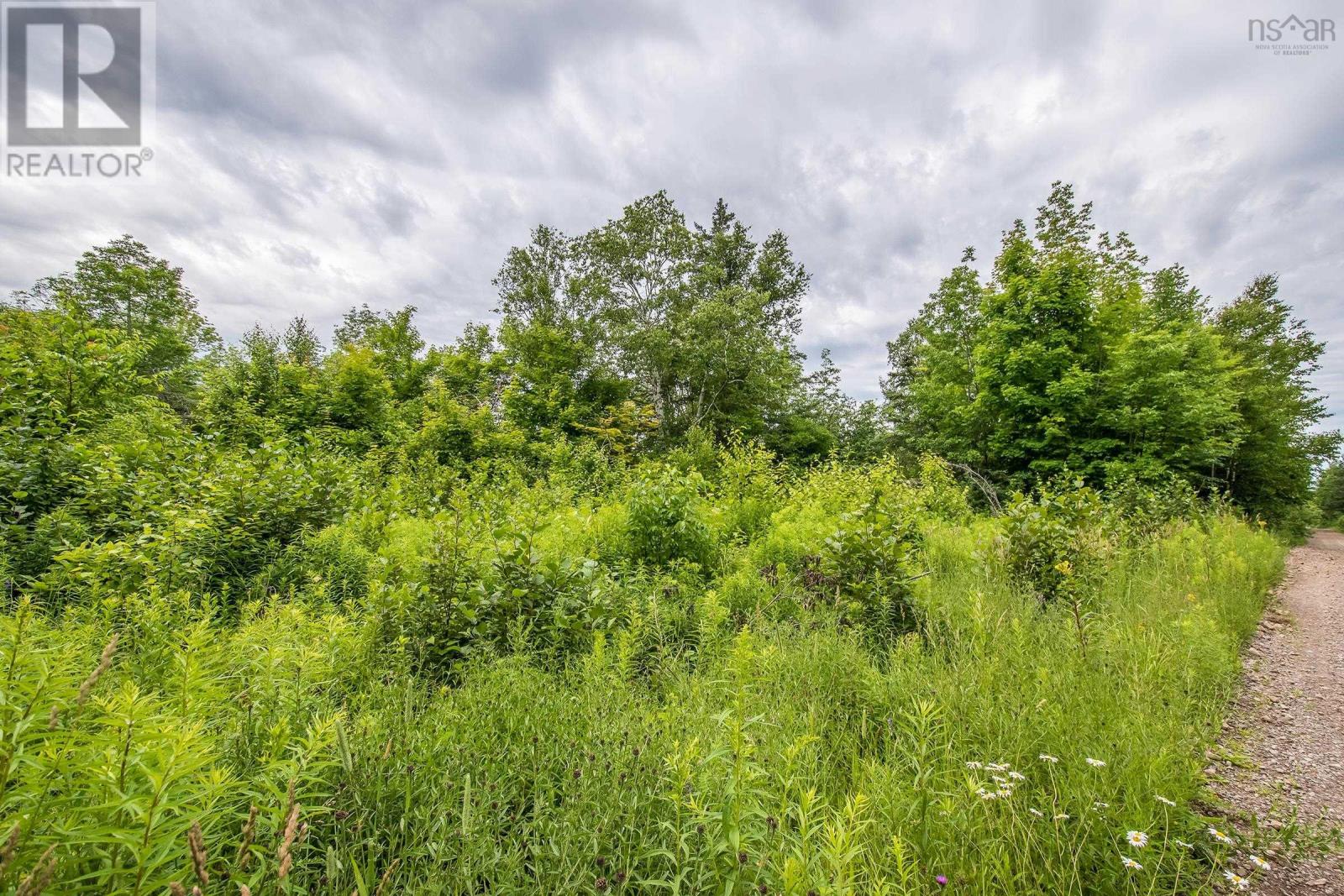 Lot Bishop Mountain Road, East Margaretsville, Nova Scotia  B0P 1R0 - Photo 8 - 202416745