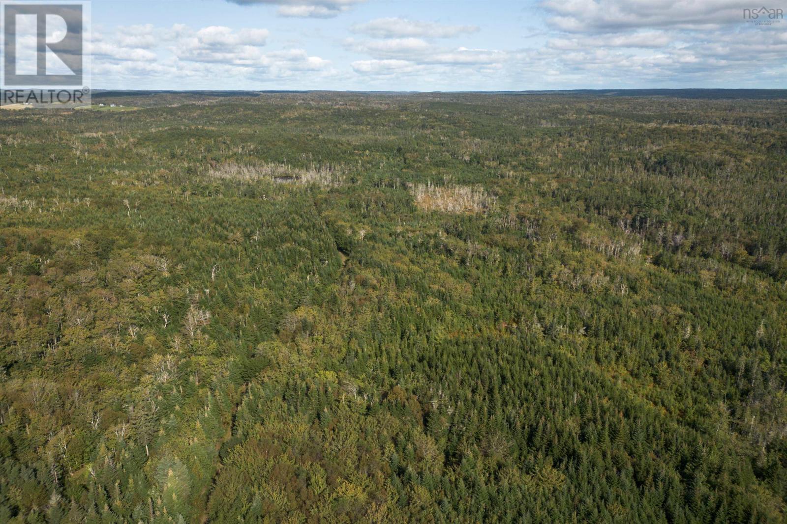 166 Acres 344 Highway, Manassette Lake, Nova Scotia  B0E 2G0 - Photo 13 - 202416778