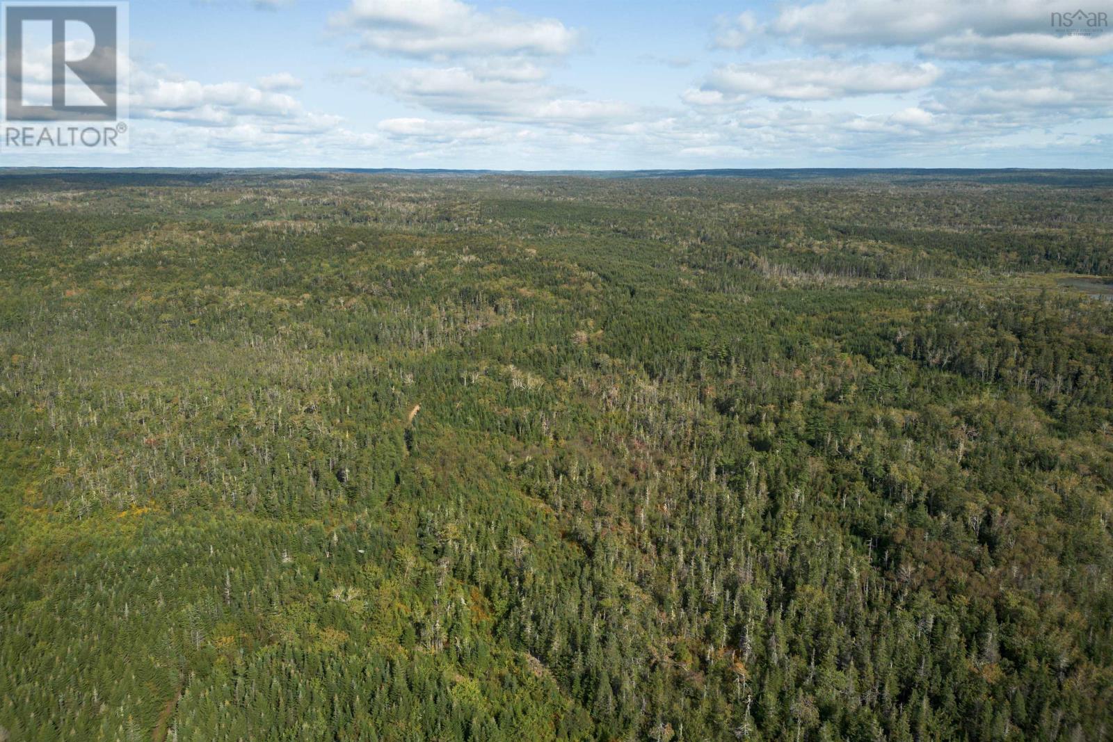 166 Acres 344 Highway, Manassette Lake, Nova Scotia  B0E 2G0 - Photo 16 - 202416778