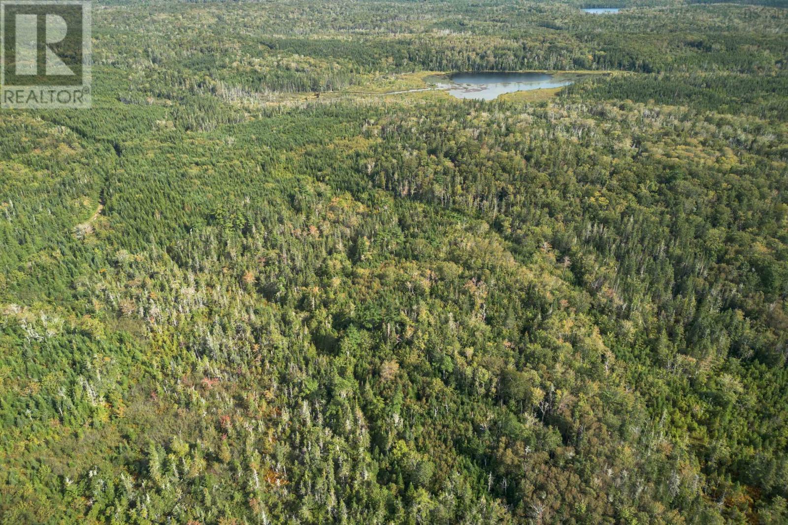 166 Acres 344 Highway, Manassette Lake, Nova Scotia  B0E 2G0 - Photo 17 - 202416778