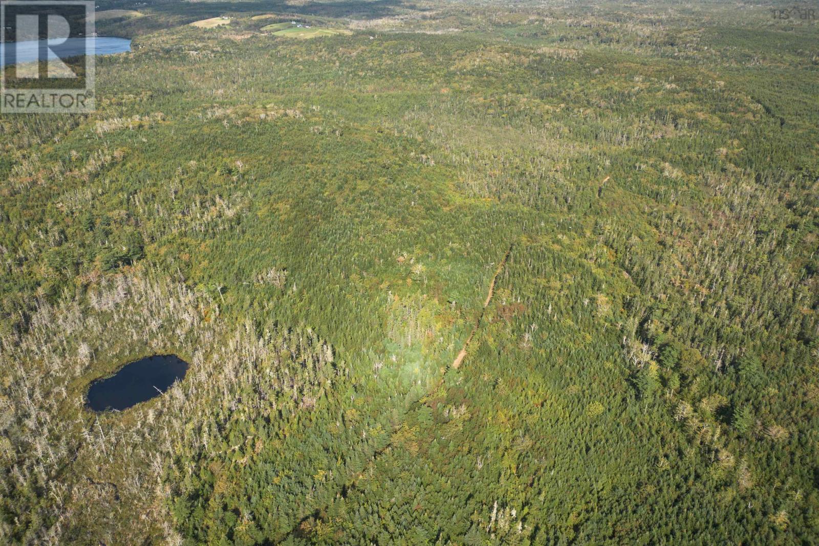 166 Acres 344 Highway, Manassette Lake, Nova Scotia  B0E 2G0 - Photo 4 - 202416778