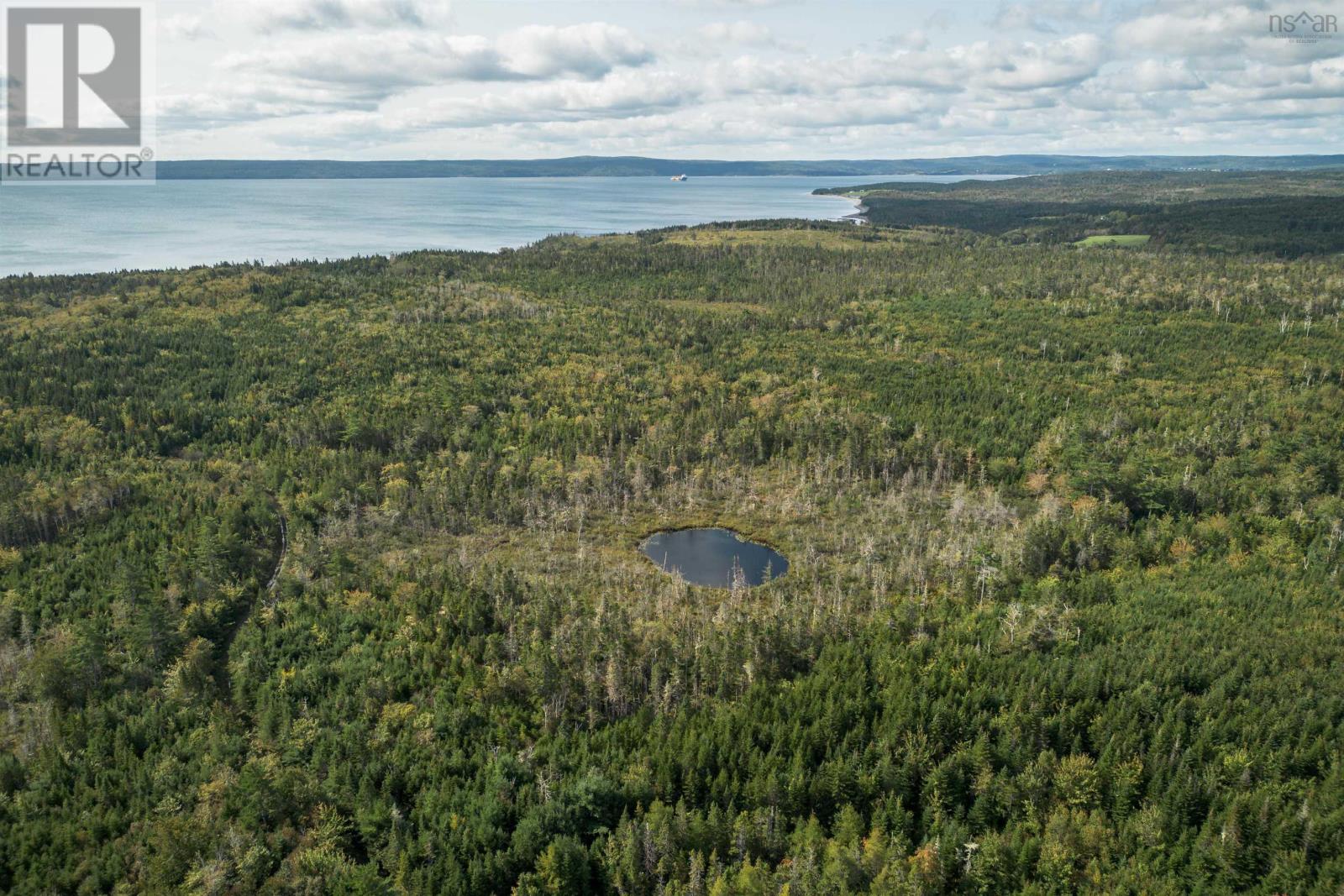 166 Acres 344 Highway, Manassette Lake, Nova Scotia  B0E 2G0 - Photo 6 - 202416778