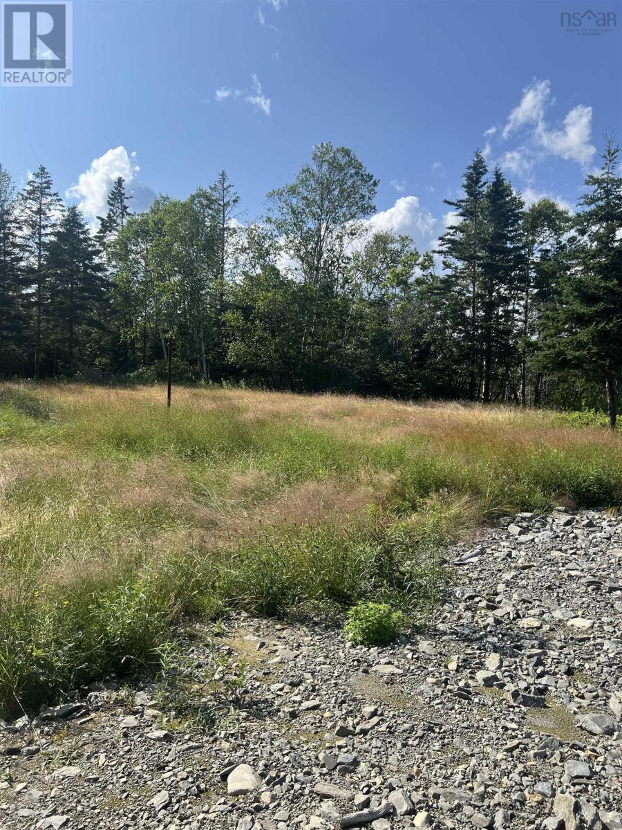 Lot A Highway 7, Spry Bay, Nova Scotia  B0J 3H0 - Photo 8 - 202416857