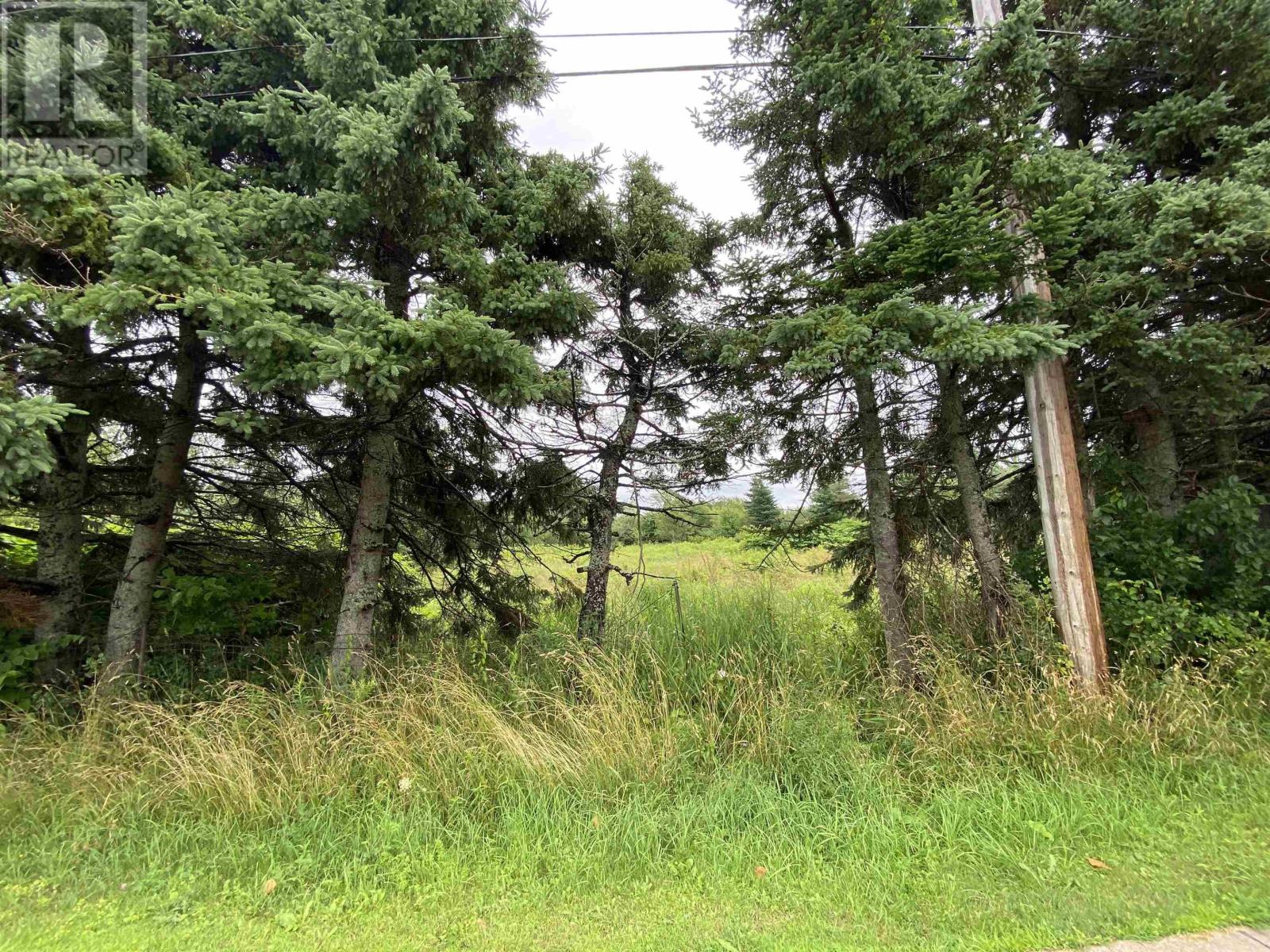 Lot 234 Wellington Street, Pictou, Nova Scotia  B0K 1H0 - Photo 2 - 202417220