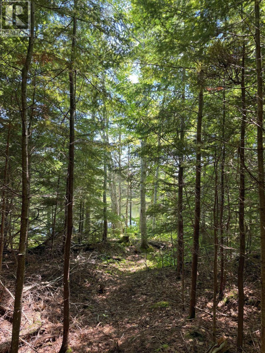 Lot 9 Bald Eagle Drive, Aberdeen, Nova Scotia  B0E 3M0 - Photo 10 - 202417285