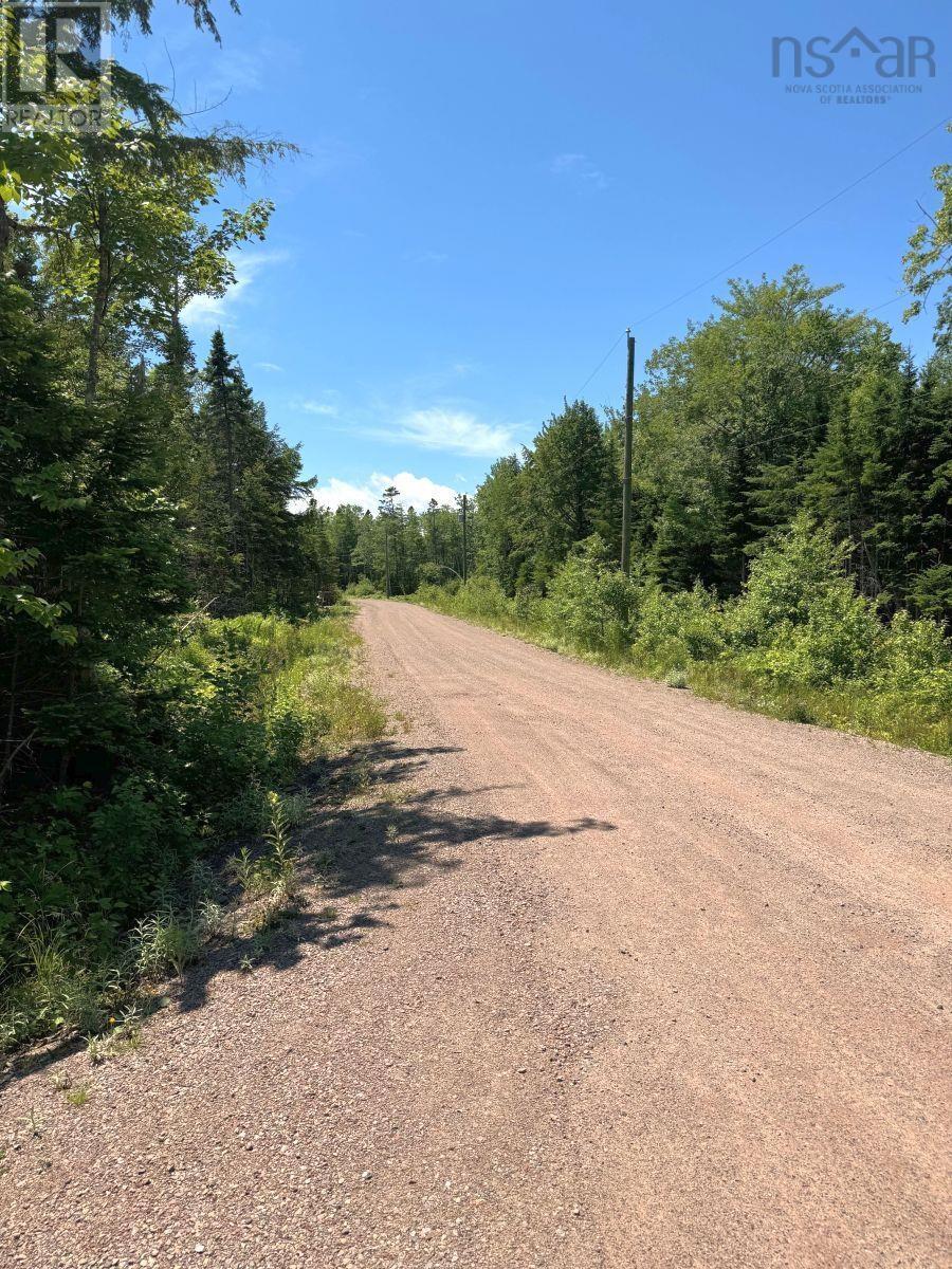 Lot 9 Bald Eagle Drive, Aberdeen, Nova Scotia  B0E 3M0 - Photo 7 - 202417285