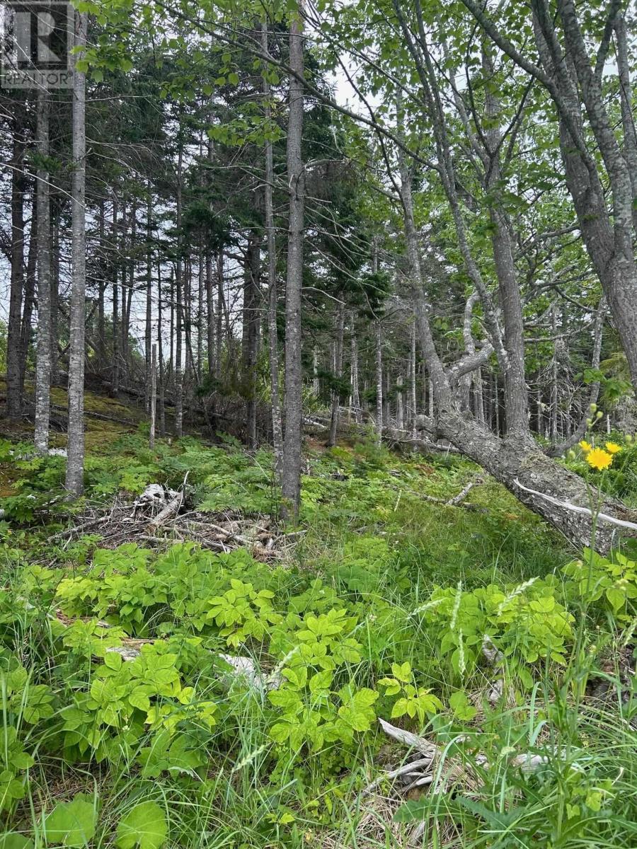 Lot 17 Militia Point Road, Militia Point, Nova Scotia  B0E 2Y0 - Photo 13 - 202417296