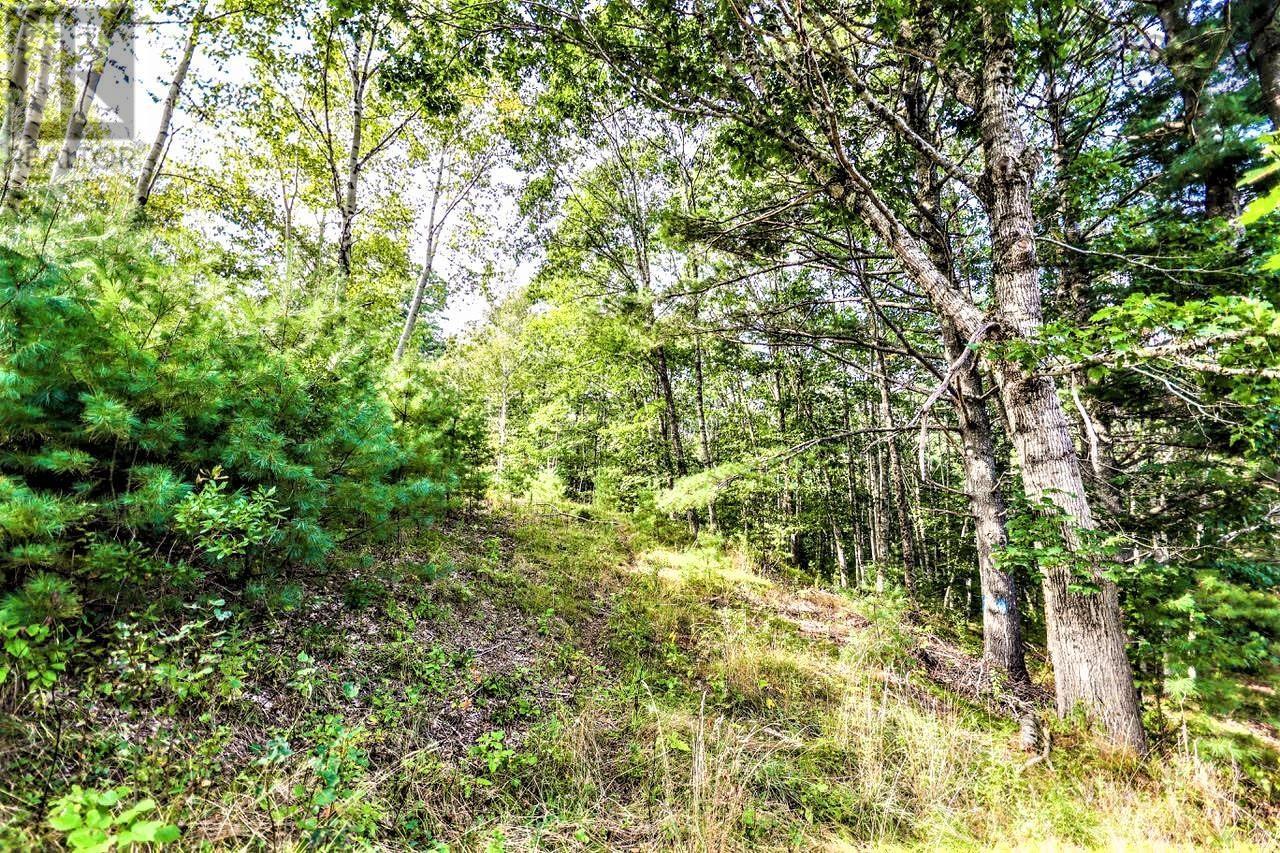 Lots Wye Street, Mahone Bay, Nova Scotia  B0J 2E0 - Photo 14 - 202417417