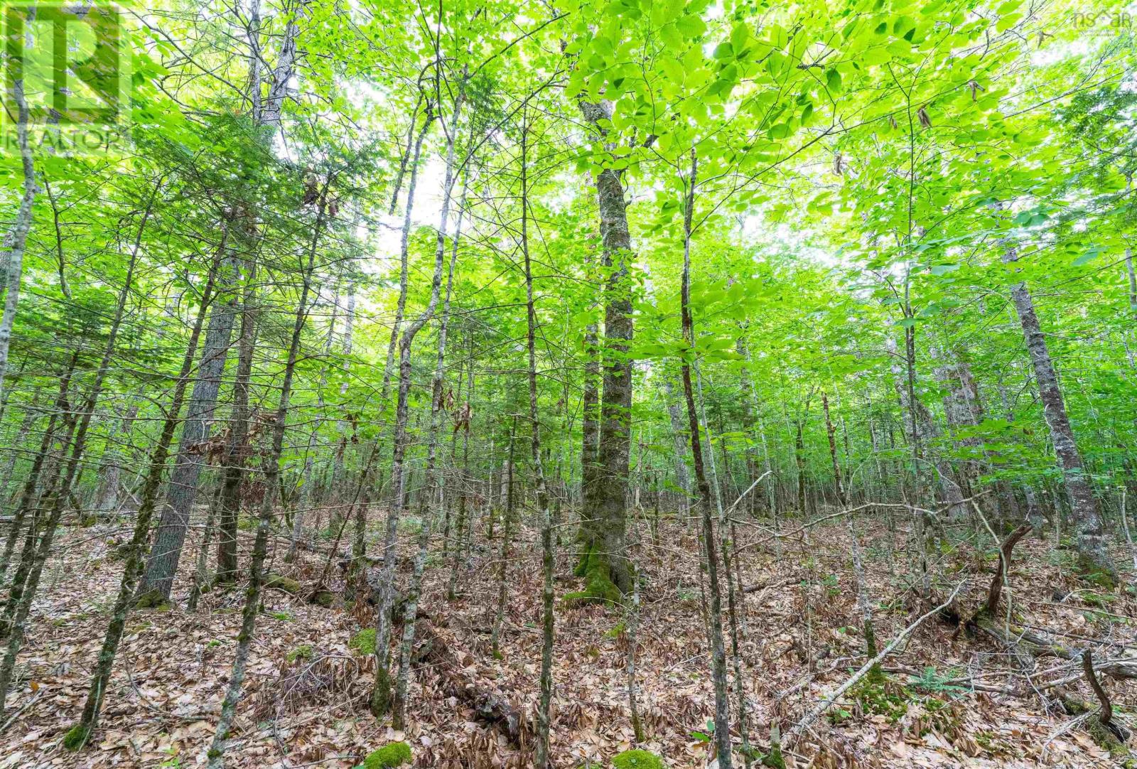 Osborne Road, New Germany, Nova Scotia  B0R 1E0 - Photo 12 - 202417434