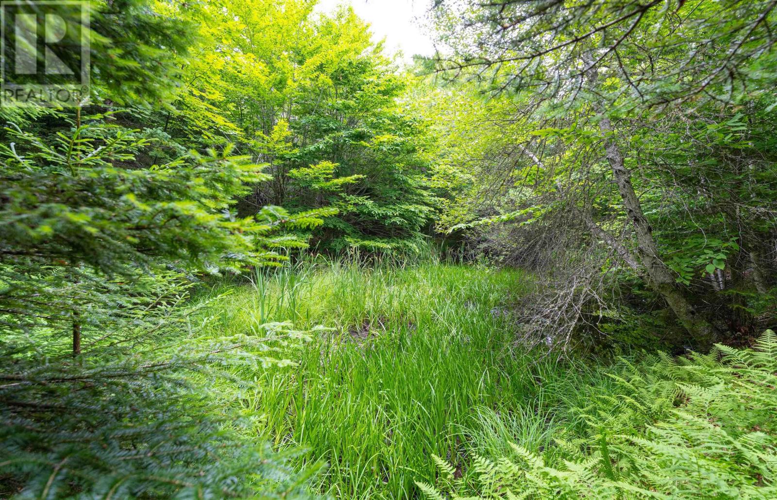 Osborne Road, New Germany, Nova Scotia  B0R 1E0 - Photo 14 - 202417434