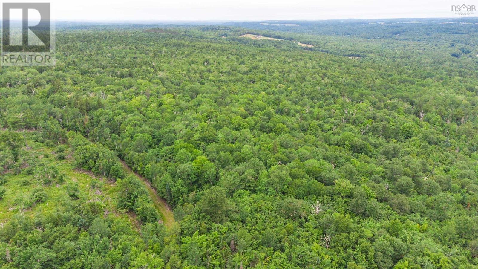 Osborne Road, New Germany, Nova Scotia  B0R 1E0 - Photo 17 - 202417434