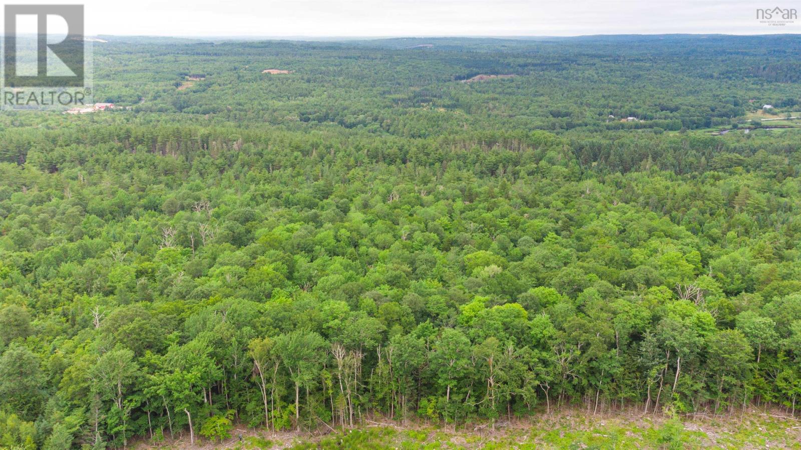 Osborne Road, New Germany, Nova Scotia  B0R 1E0 - Photo 20 - 202417434