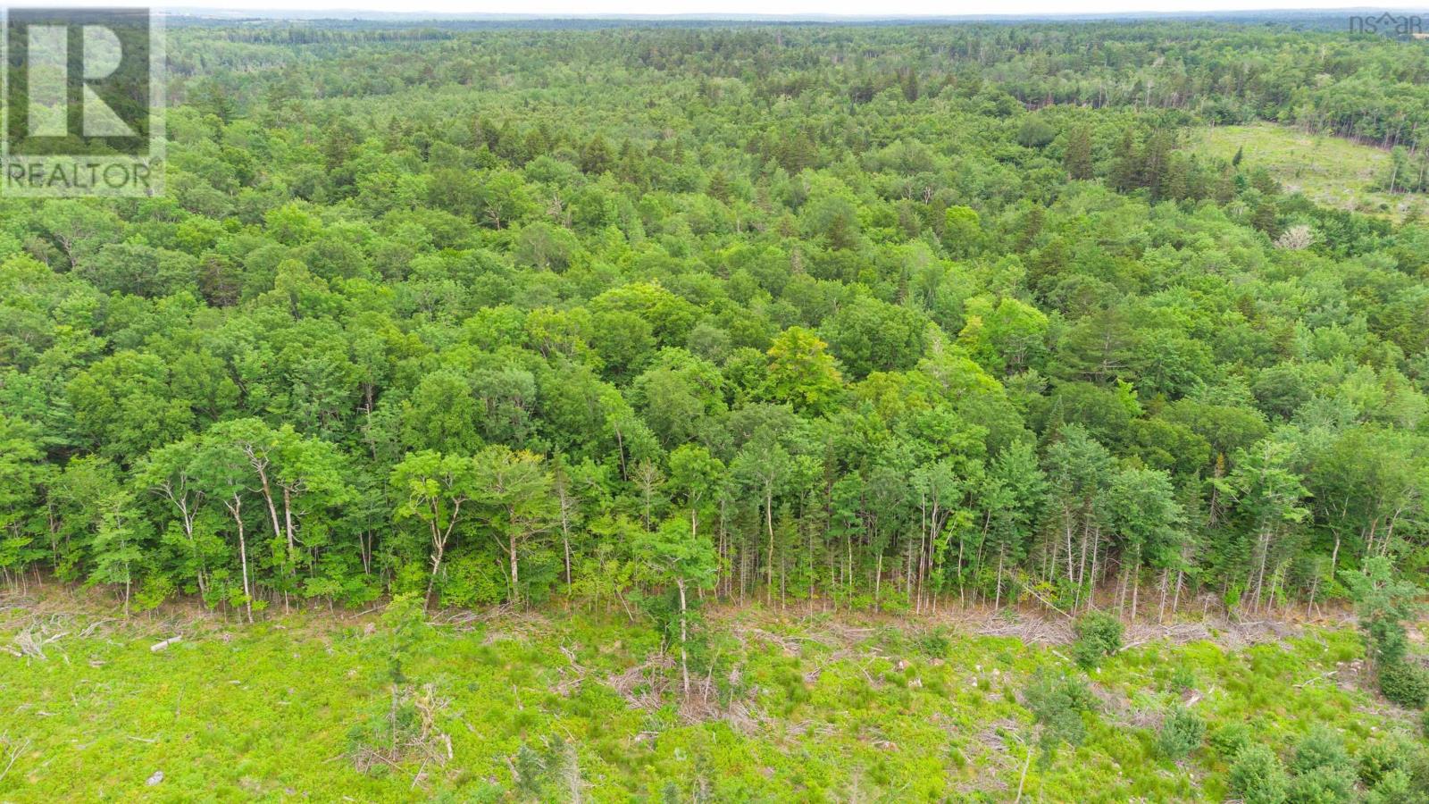 Osborne Road, New Germany, Nova Scotia  B0R 1E0 - Photo 22 - 202417434