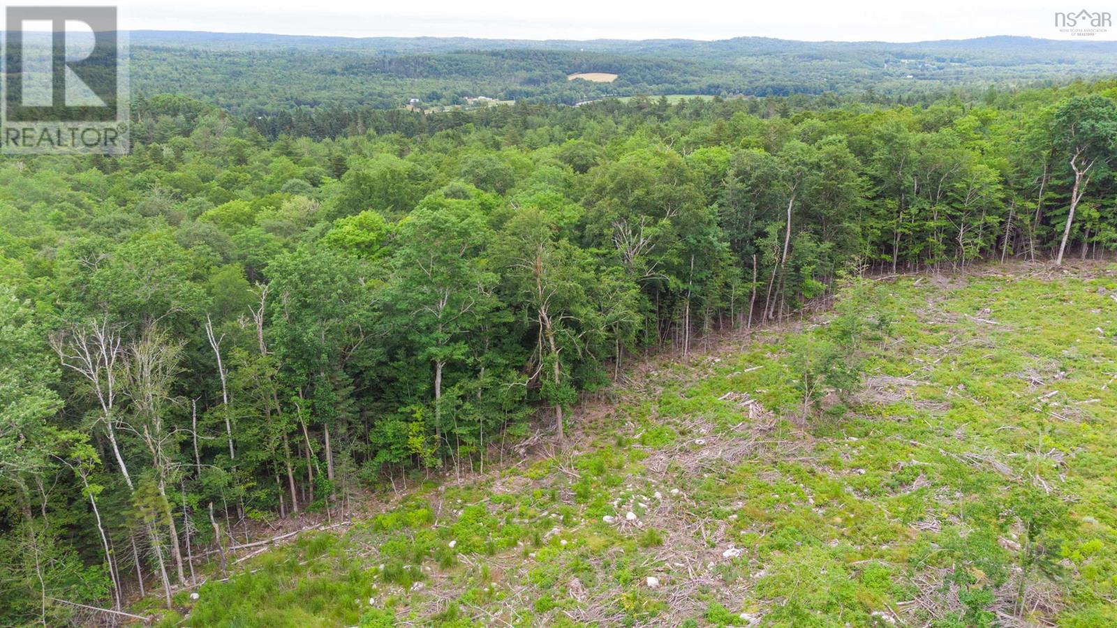 Osborne Road, New Germany, Nova Scotia  B0R 1E0 - Photo 23 - 202417434